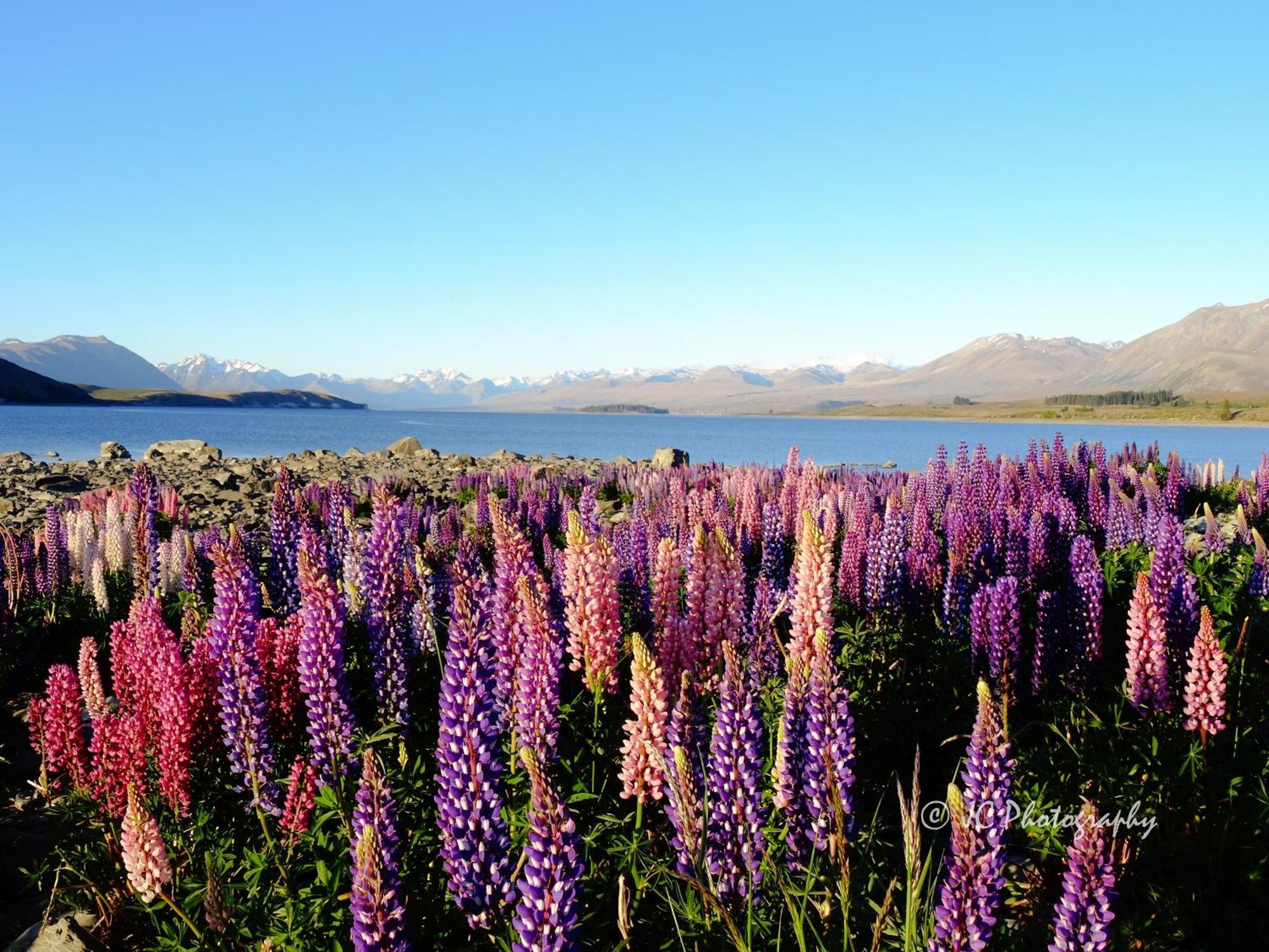 Tekapo Luxury Apartments Lake Tekapo Ngoại thất bức ảnh
